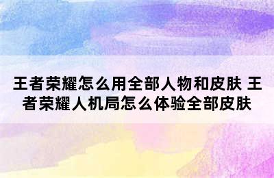 王者荣耀怎么用全部人物和皮肤 王者荣耀人机局怎么体验全部皮肤